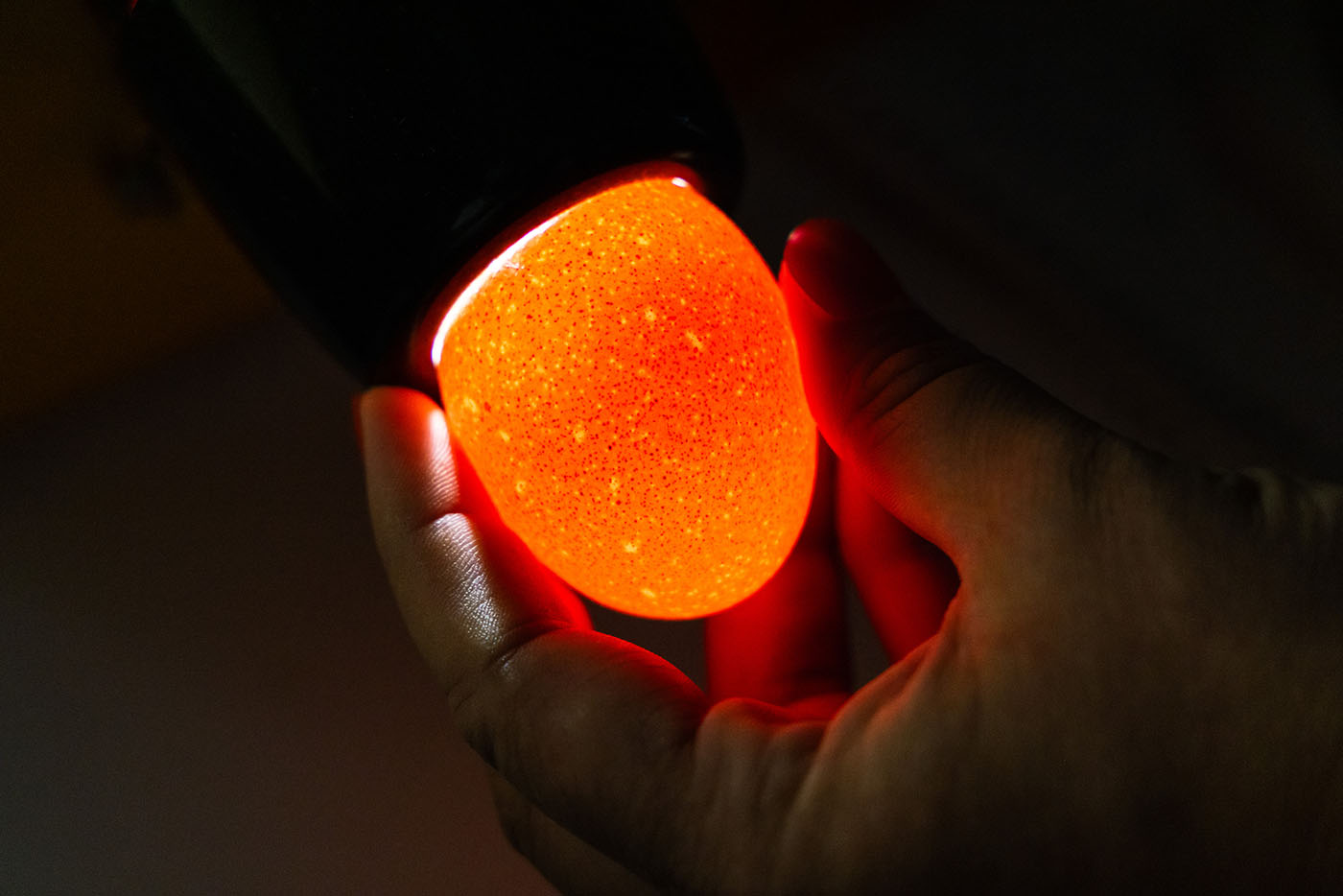 An egg being checked under a light in a dark room for any issues.